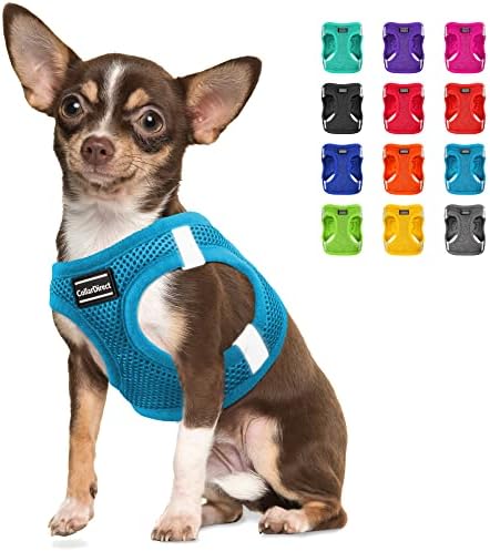 Collardet Step -in Reflexive Dog Arnness - Qualquer malha de ar meteorológica para cães pequenos e médios fáceis de vestir