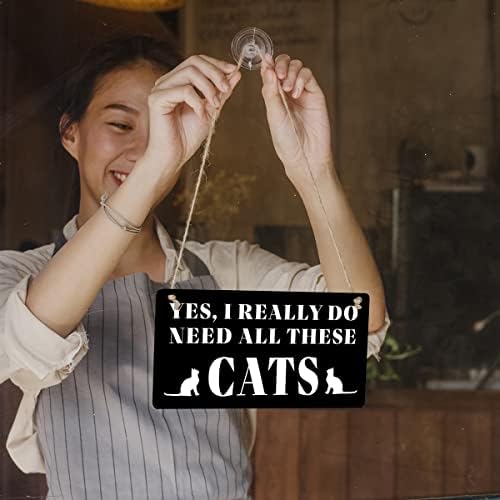 Amantes de gatos assinam presente de presente, sim, eu realmente preciso de todos esses gatos que penduram placas de pendura