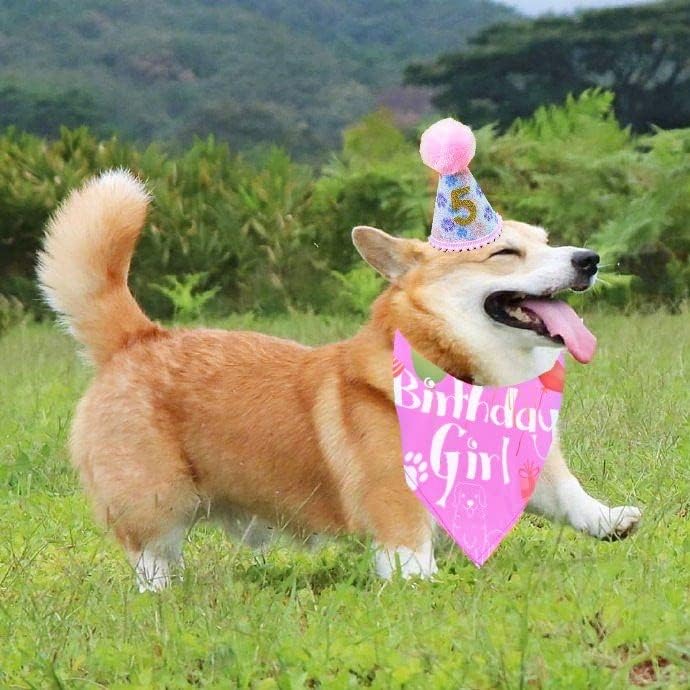 Chapéu de bandana de aniversário de cachorro com número de aniversario para cães suprimentos de cachorro bandana para menino filhote