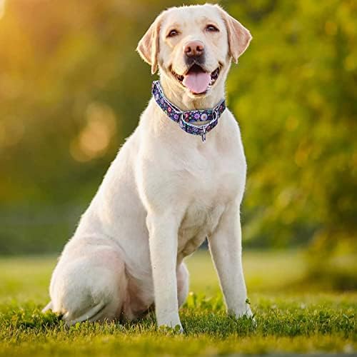 Colar de cães de nylon de serviço pesado pimaodog, colarinho de cachorro ajustável para treinar cães de menino e garotas de cães grandes cães grandes