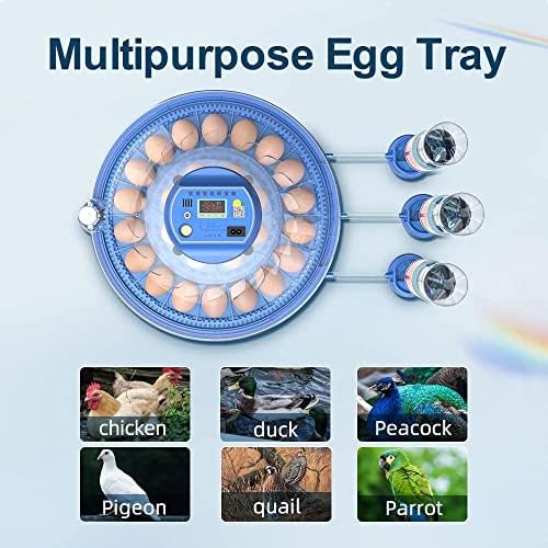 Incubadora de Urren para ovos Incubadora automática Máquina de ninharia Incubadora de frango Incubadora de incubador de incubador