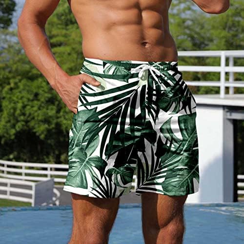 Shorts de tábua havaiana masculina do ZDDO, verão de férias respirável troncos de natação havaí frutas impressas esportes shorts de praia casual