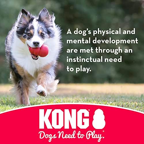 Kong - Bone Gone and Flyer - Chew de borracha durável e disco voador - para cães grandes