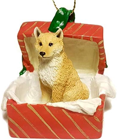 Shiba inu cão japonês senta -se em uma caixa de presente vermelha ornamento de Natal novo rgbd96