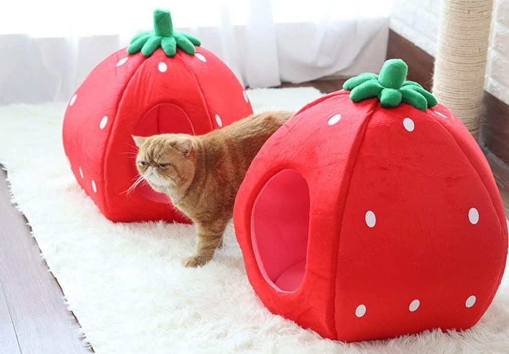YML Strawberry Pet Bed House, pequena, vermelha