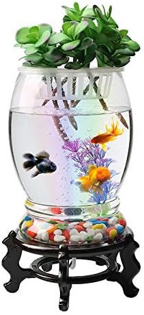 Twdyc semi-circular de peixe tanque de vidro sala de estar em casa aquário criativo cilindro de tanque de peixes de ouro ecológico