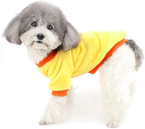 Roupas de estimação de ranphy para cães de veludo de veludo de cachorro quente lã de lã quente casaco de cachorro gato