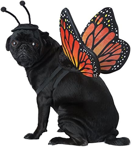 Coleções de figurinos da Califórnia Pet Monarch Butterfly Dog Trajes, preto/laranja, m pescoço 14 -16 circunferência 20 -24 de volta 16 EUA