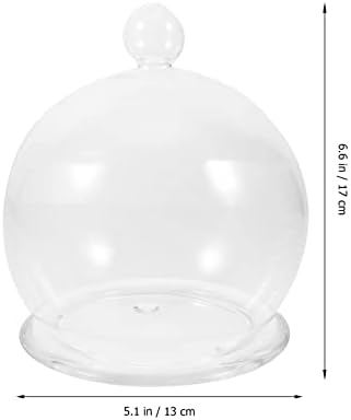 Zerodeko cloche vidro cúpula cúpula clara cúpula de vidro cloche vidro terrário de vidro com base base vazia de vidro de vidro
