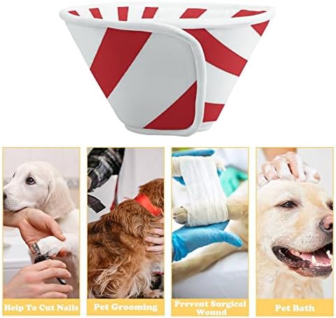 Recuperação japonesa de cães de cães da bandeira do sol em ascensão Pet Recuperação Elizabeth Collar Protective para após a cirurgia