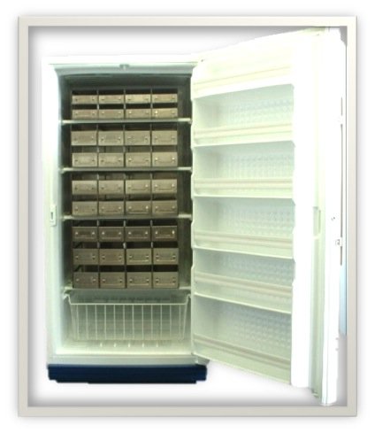 Freezer de armazenamento enzimático controlado por microprocessador SCI Cool, 20 cu. Ft, degelo manual scef21ow1a
