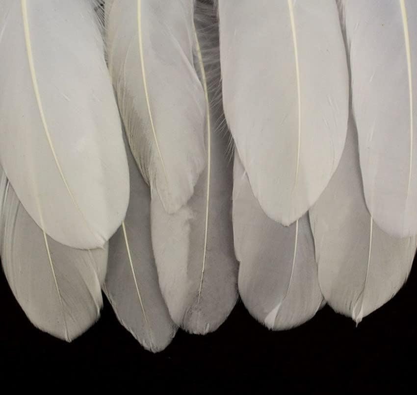 Pnnerr 50pcs branco lindos penas de ganso grande 15-22cm / 5.91 ''-8,66 ''