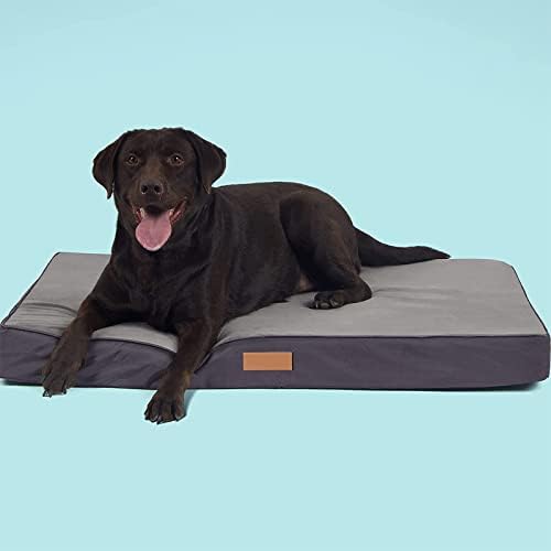 Cama de cães de espuma de memória ortopédica - tapete de cama com tampa lavável - X -Large