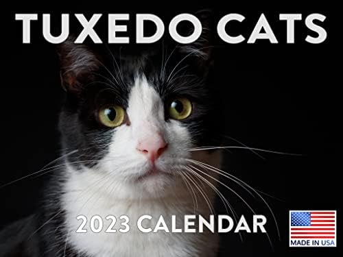 Calendário de Tuxedo CAT 2023 Calendários de pendura de parede mensal CARTO PET PET PET PETRIME
