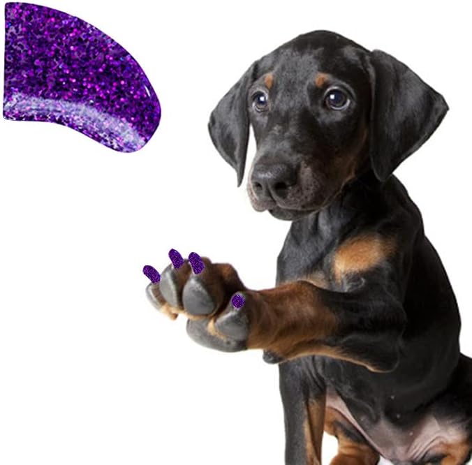 Garras bonitas tampas de unhas macias de 60 peças com adesivo para garras de cachorro - Médio de glitter ametista