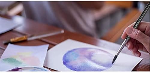 N/A Kit de escova de tinta artística, pincel de pintura com faca/esponjas de paleta e bandejas de tinta para tinta
