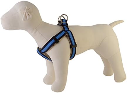 PAW PAWS USA PREP School Wrigley Dog Leash, x-small, multicolorido