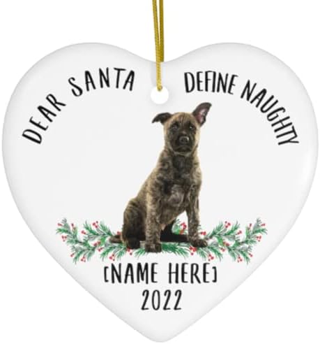 Filhote de Pastor Dutch Funny Dear Papai Noel Definir presentes travessos 2023 Ornamentos de árvore de Natal Coração