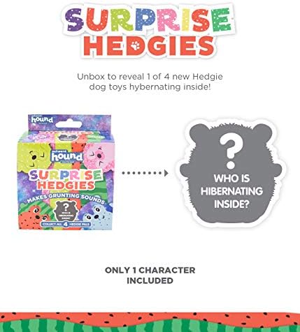 Hedgies de Hedgies de Hedgies de Hedwors - Unbox e Surpresa! Colete todos os três brinquedos de cães de sebes grunhidos!