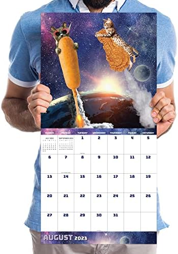TF Publishing Space Cat 2023 Calendário de parede 12 meses | Premium 2023 Parede do calendário | Grande calendário de parede 2023 mensalmente