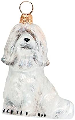 Alegria para o cão mundial Havanese White ZKP2685 Glass Christmas Ornament Gift Box