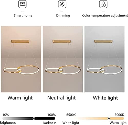 Lâmpada de lâmpada de lâmpada pingente LED Altura de lustre ajustável Dimmable com controle remoto Pendel Lâmpada de metal