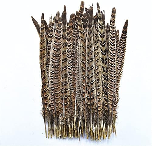 Zamihalaa 100pcs/lote penas de cauda de faisão feminina para artesanato 30-35cm/12-14 polegadas faisões de penas de penas