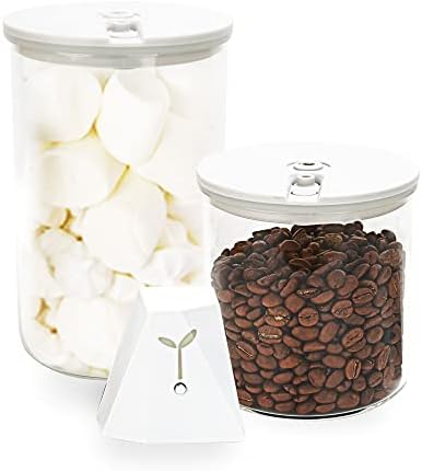 Vacão de vácuo Sealvax e recipiente de armazenamento de alimentos - armazenamento hermético para grãos de café. Preserve