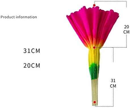 Fã de dobramento decorativo da horta e horário de cozinha, ventilador de manutenção, fã de dança, fã de dança de dança de dança cerimonial