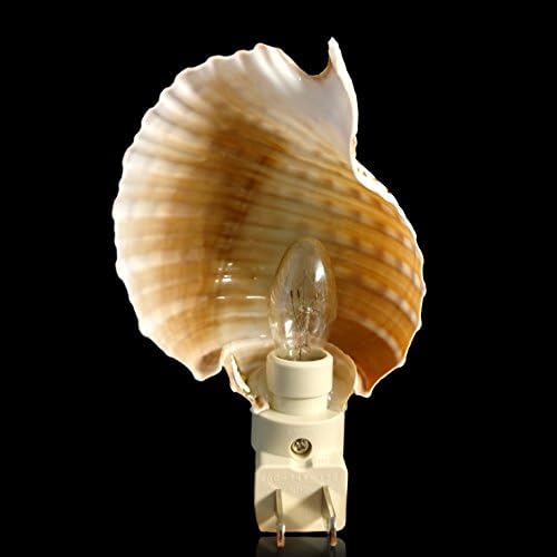 Sea Shell Night Light - Luz natural da concha - praia Plug de luz - Luz do mar - Decoração costeira do banheiro - Shell de Tonna