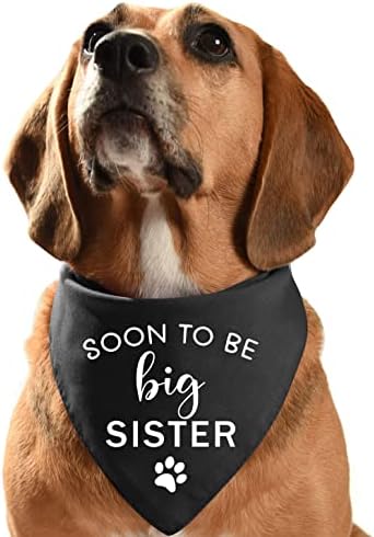 Engraçado em breve será a irmã mais velha Black Cotton Pet Dog Bandana, gênero revelando foto de estimação acessórios de