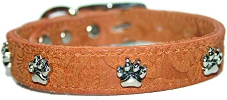 Omnipet Signature Leature Suede Dog Collar com ornamentos de pata, 1 x 26, preto