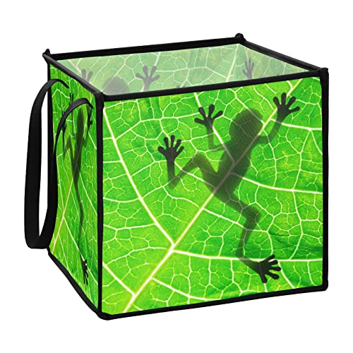 Frog Shadow Leaf Storage Bin Bin CONVERSO CONVERSO CESPONHO DE BOTAGEM DE TODOS CUBE CUBELA CESPONHA DE LAPUSÃO EMPERSONALMENTE