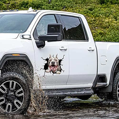 Presentes Pitbulls Men adesivos de carro Pitbull Aviso Os estáticadores de banheiro para garotas adesivos de caminhões