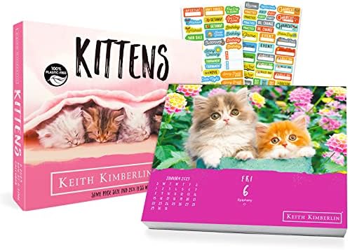 Keith Kimberlin Kittens 2023 Calendário, pacote de edição de caixa-Deluxe 2023 Kittens Day-A-Time Box Calendário com mais de 100 adesivos de calendário