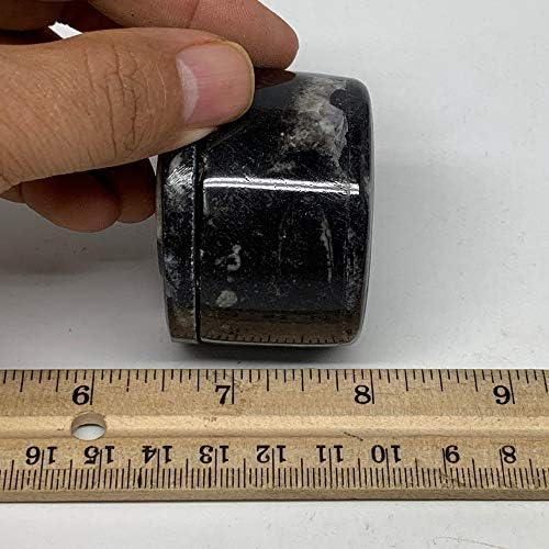 WATANGEMS 130,7 gramas, 1,6 x 2 Orthoceras fósseis pretos Caixa de jóias da forma redonda de formato artesanal de marrocos,