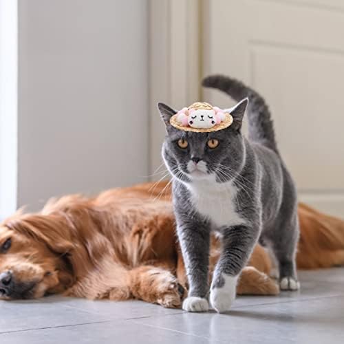 Mini Chapéus de festa Cachorro Cato Cato Sun Hat: Cat Bear Pet Sun Cap com cinta ajustável Hawaii Dog Sombrero México