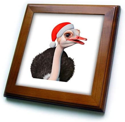 Avestruz de Natal engraçado 3drose em chapéu de Papai Noel - azulejos emoldurados