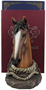 World of Wonders Brown Horse Horse Decorativo Livros | Titular de livros rústicos para prateleira | Livros para prateleiras