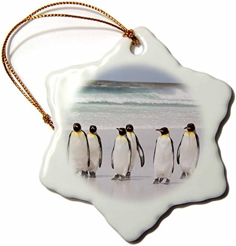 3drose Malkland Islands King Penguins andando no ornamento de floco de neve da praia, 3