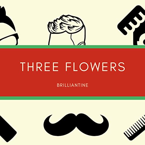 Três flores sólidas brilhantes, produto de penteado de homens, 2 pacote de 3,25 oz, potes