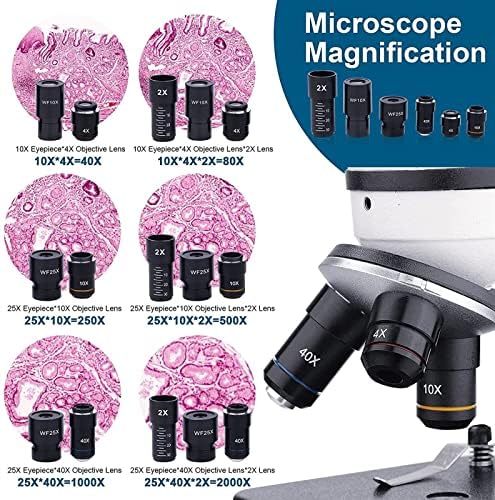 Yezimk Profesional Lab Microscopio 40-2000X Composto de laboratório digital Microscópio LED para educação biológica de estudante Dual