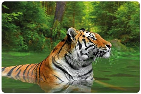 Ambesonne Tiger Pet Tapete Para comida e água, gato grande preto listrado da Sibéria nadando no lago na floresta, retângulo de borracha retângulo para limpeza para cães e gatos, samambaia verde marrom pálido