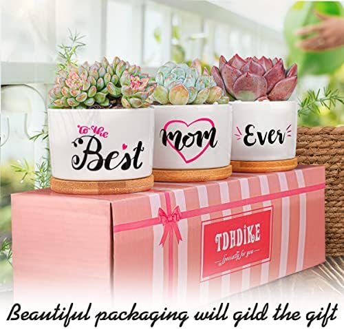 TDHDIKE MOM PRESENTES DE BRINHURS MELHOR MOMINA SEGUROS PARA O DIA DO MOTERS, BRINHERNAMENTO, NATAL. Plantadores suculentos exclusivos