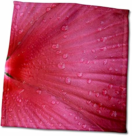3drose Danita Delimont - Flor - Hibiscus vermelho, Resumo - Toalhas