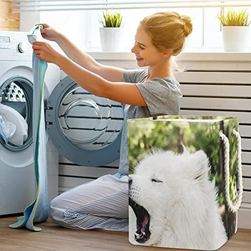 Cesto de lavanderia cesto de roupa dobrável com alças de armazenamento destacável, organizador de banheiro, caixas de brinquedos de brinquedos engraçados cachorros brancos cachorros