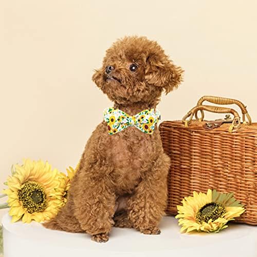 Bobo Rainbow Spring Spring Dog Collar - Golas de girassol Cola de cachorro Arcos para cães colarinho de estimação