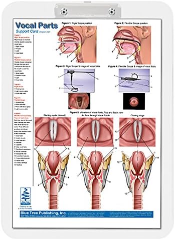 Partes vocais