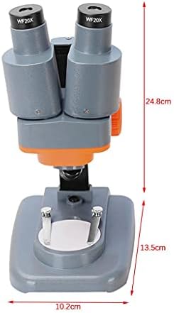 Microscópio estéreo binocular Liujun 40x para PCB Solda Mineral Apples Watching Kids Science Educação