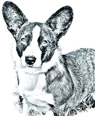 Cardigan Welsh Corgi, lápide oval de azulejo de cerâmica com uma imagem de um cachorro